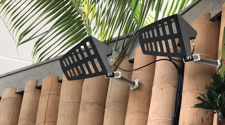 Sistema de micrófono inalámbrico Relacart TM-500 con sistema de antena aplicado en un jardín botánico