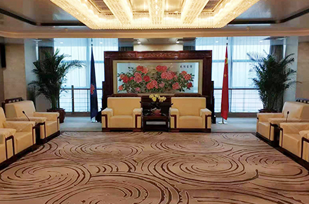 Estudio de caso de audio inalámbrico Relacart | Sala VIP de China Southern Airlines: la tecnología respalda el viaje de sonido inteligente